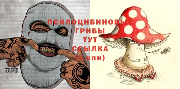 эйфоретик Беломорск