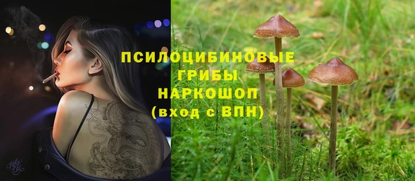 молекула духа Белоозёрский