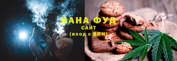 дживик Бронницы