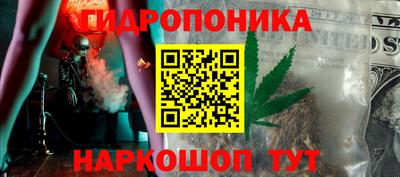 spice Заводоуковск