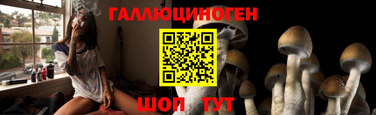 Сердобск  Псилоцибиновые грибы Psilocybine cubensis  Вход с VPN 